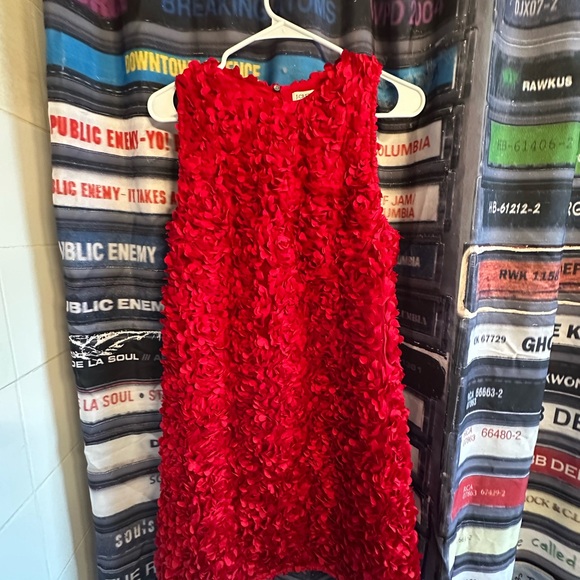 CLOSET CLOSING J Crew FACTORY Mini Rosette Dress NWT - Picture 4 of 9